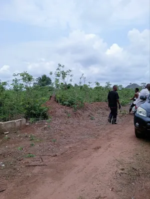 2 Plots Of Land At Avu Owerri -ph Road