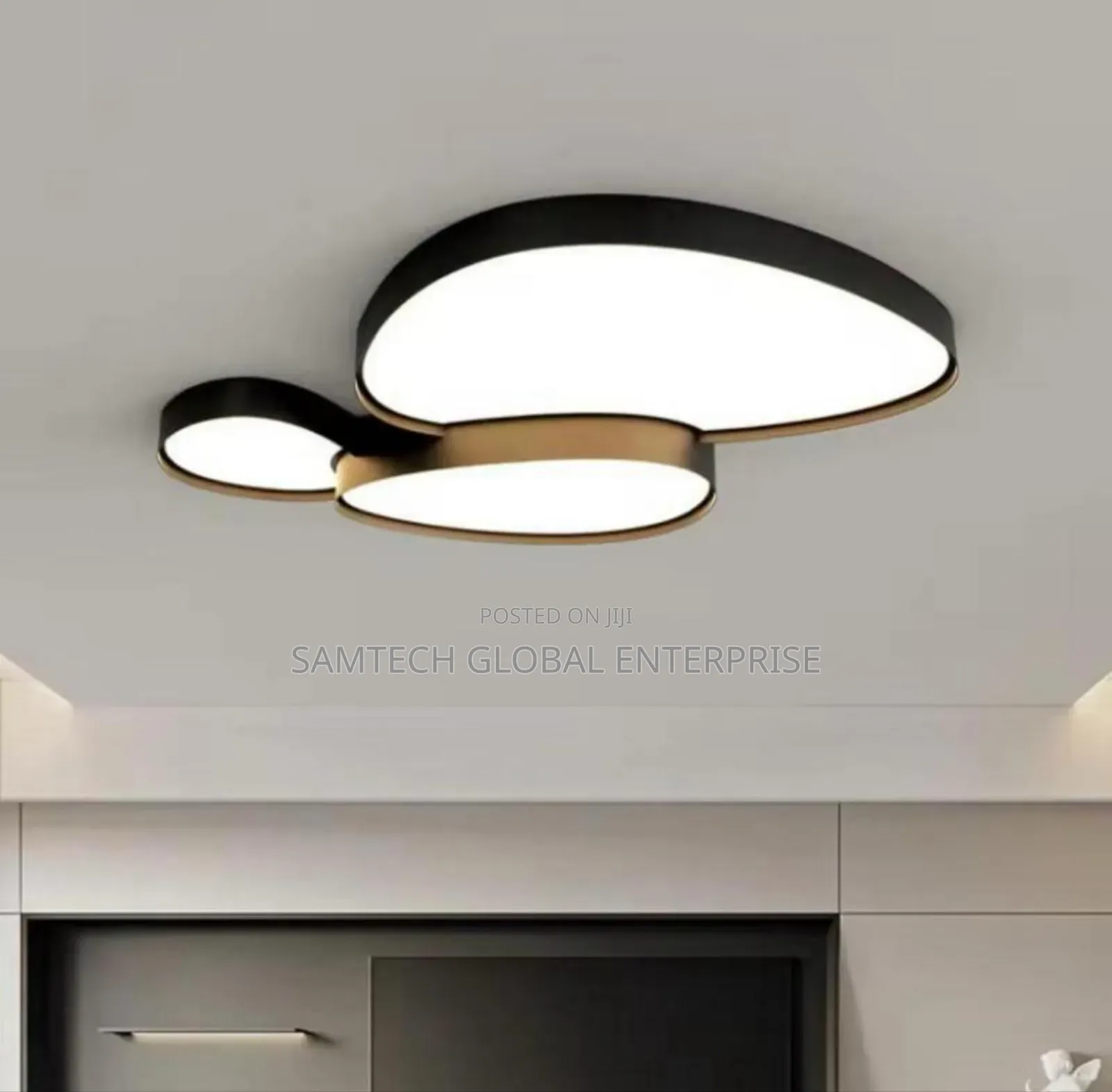 Interior Ceiling Light
