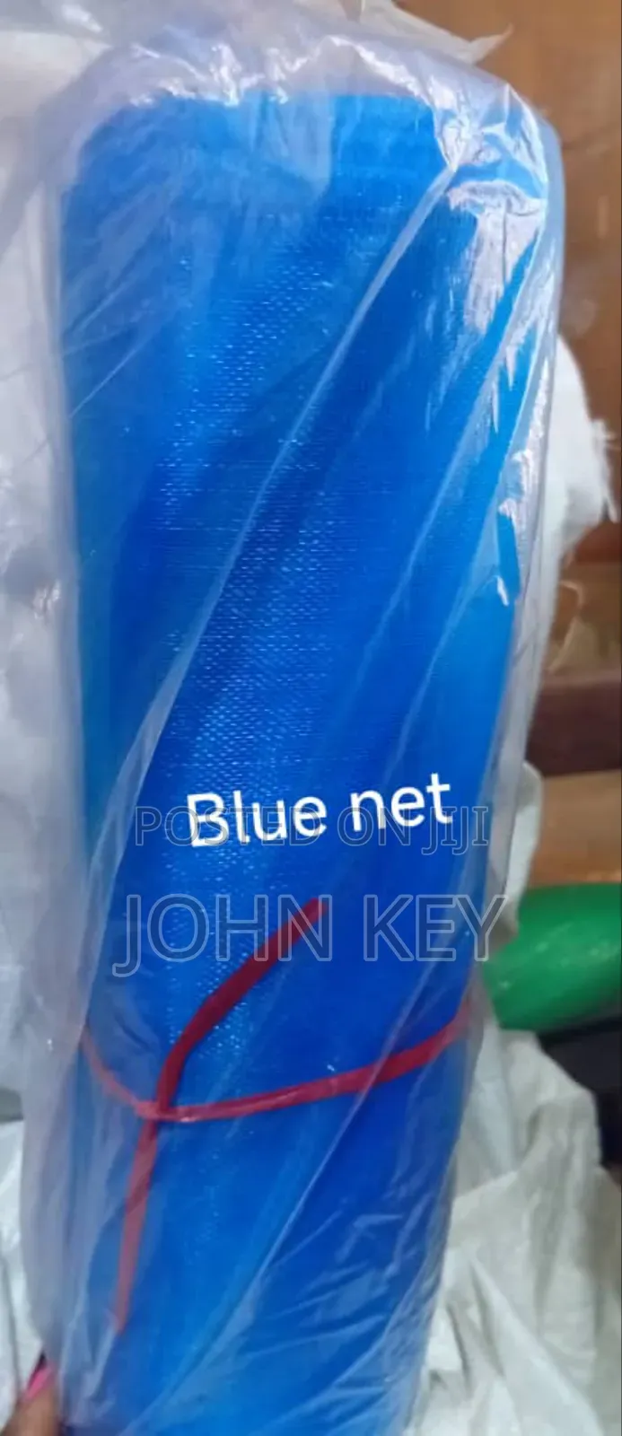 Future Net