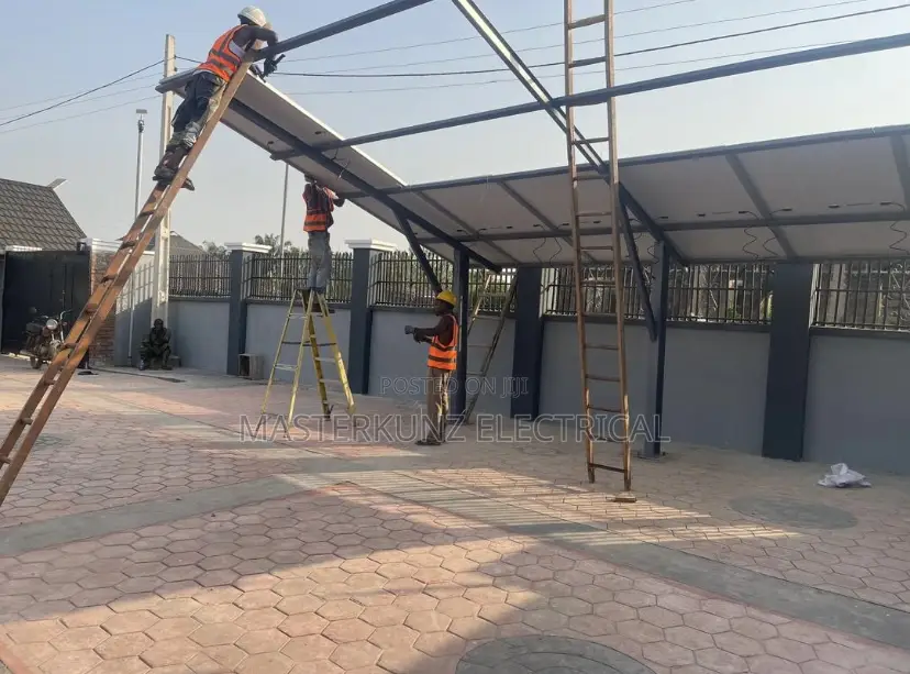 Professional Electrician