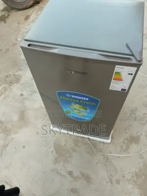 Snowsea Refrigerator Low Voltage and Lock Key