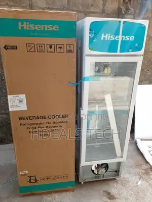 Keep Drinks Ice Cold With Hisense Fl-30fc 222l Chiller