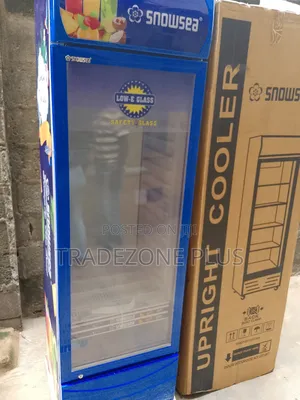 Snowsea 300litre Standing Showcase With Safety Glass
