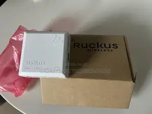 Ruckus Zone Flex 7025