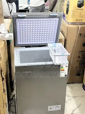 Snowsea Bd108 70l Freezer – Perfect for Tight Spaces