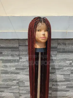360 Laced Braided Wig