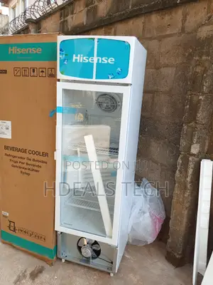 Premium Chilling for Your Business – Hisense Fl-30fc