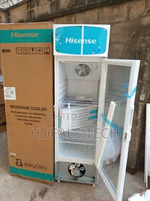 Elegant White Finish – Hisense 222l Upright Chiller