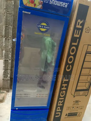 Snowsea Lc-300w Chiller With Inverter Compressor
