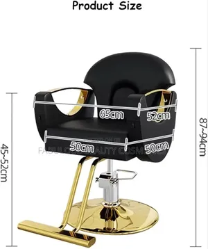 Hairdressing, Salon Hydraulic Barber , 360 Rolling Chair