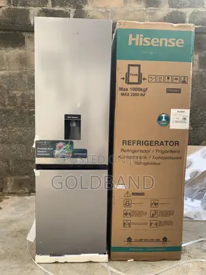 Energy Efficient Hisense 264l Double Door Refrigerator