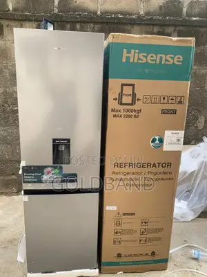 Hisense 264l Double Door Fridge (Minimal Energy Use)