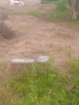 Photo - Land for Sale