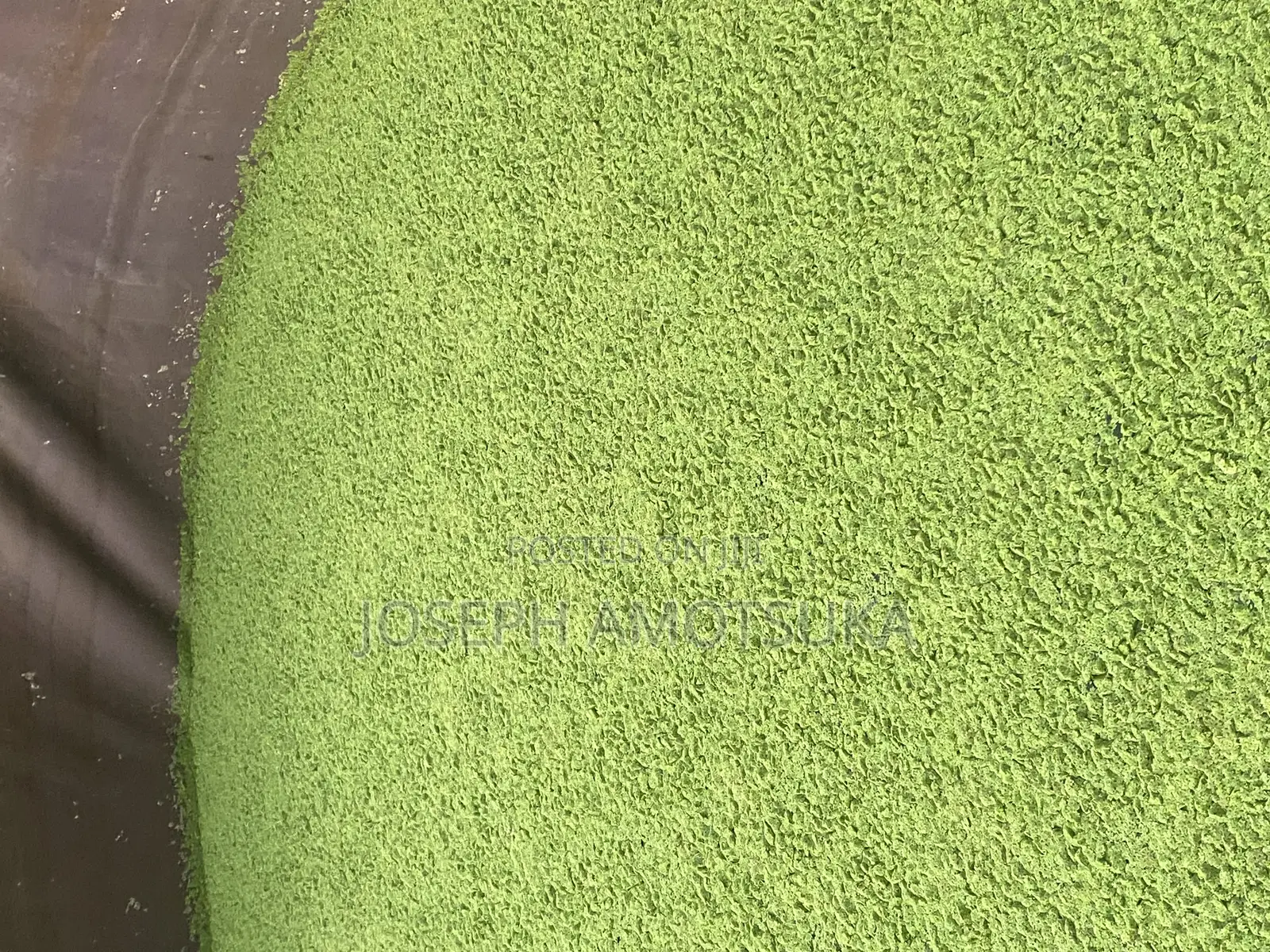 Azolla and Duckweed