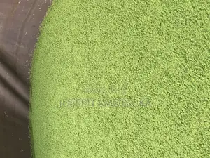 Azolla and Duckweed