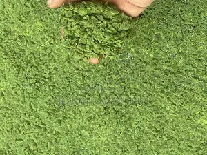 Azolla and Duckweed