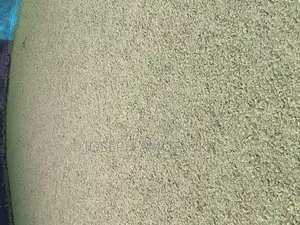 Azolla and Duckweed