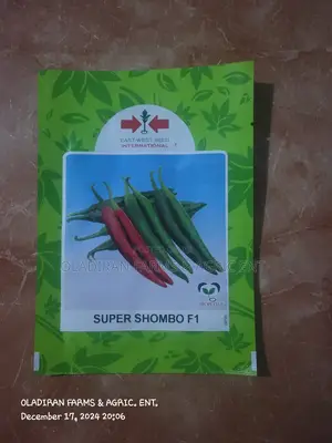 Super Shombo