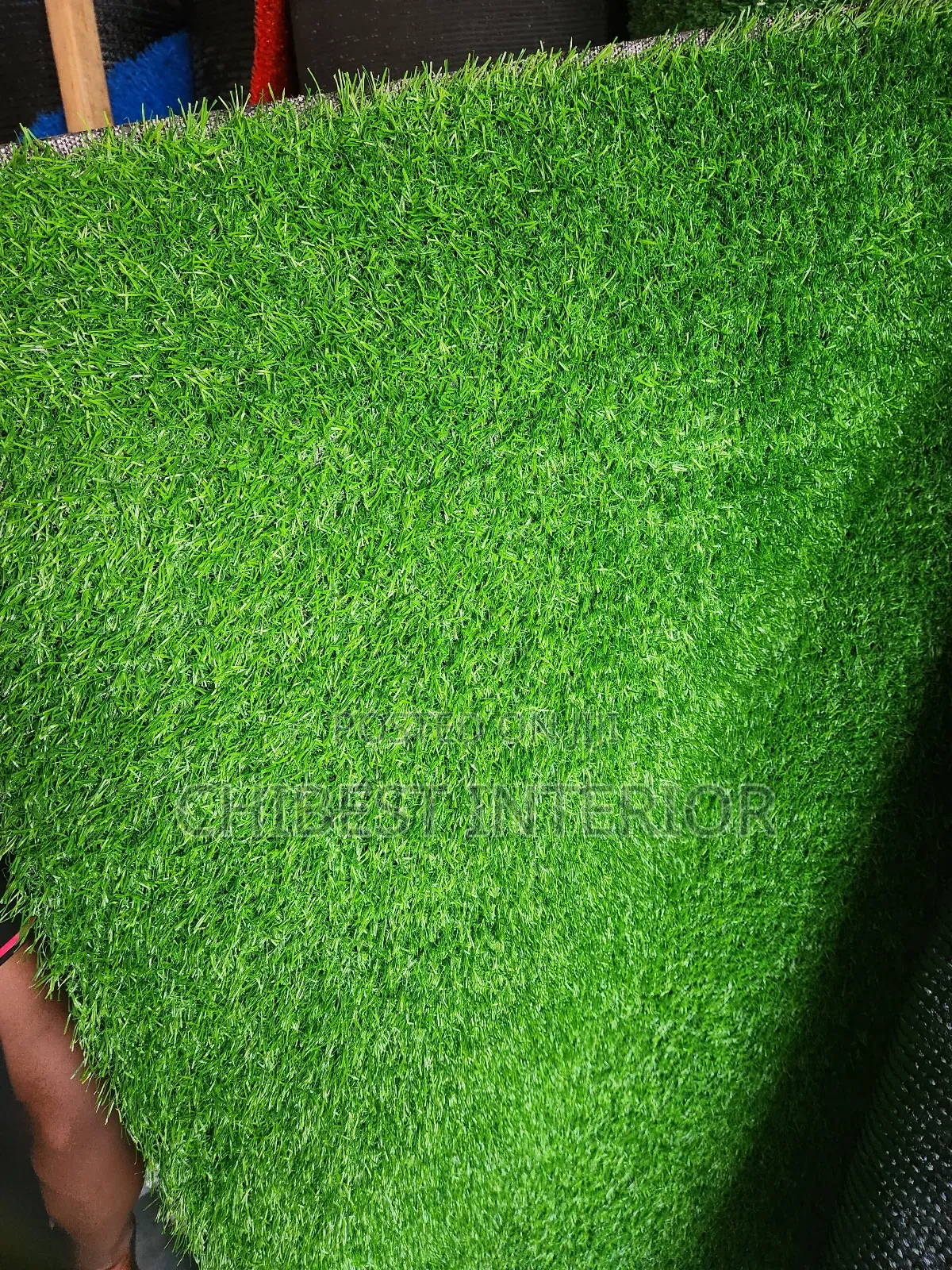 Luxury Green Carpet Grass.