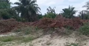1000sqm of Land at Ajayi Apata Estate, Sangotedo for Sale