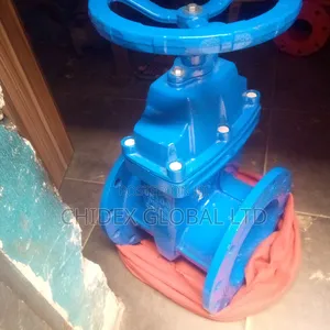 Original Brand New Valve Dn200/ Np16 Qt450