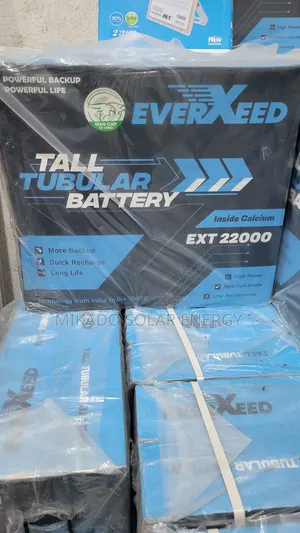 220ah 12v Everxeed Tall Tubular Battery Carbon Inside