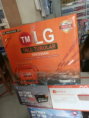 This Is 230ah Lg Tubular Battery