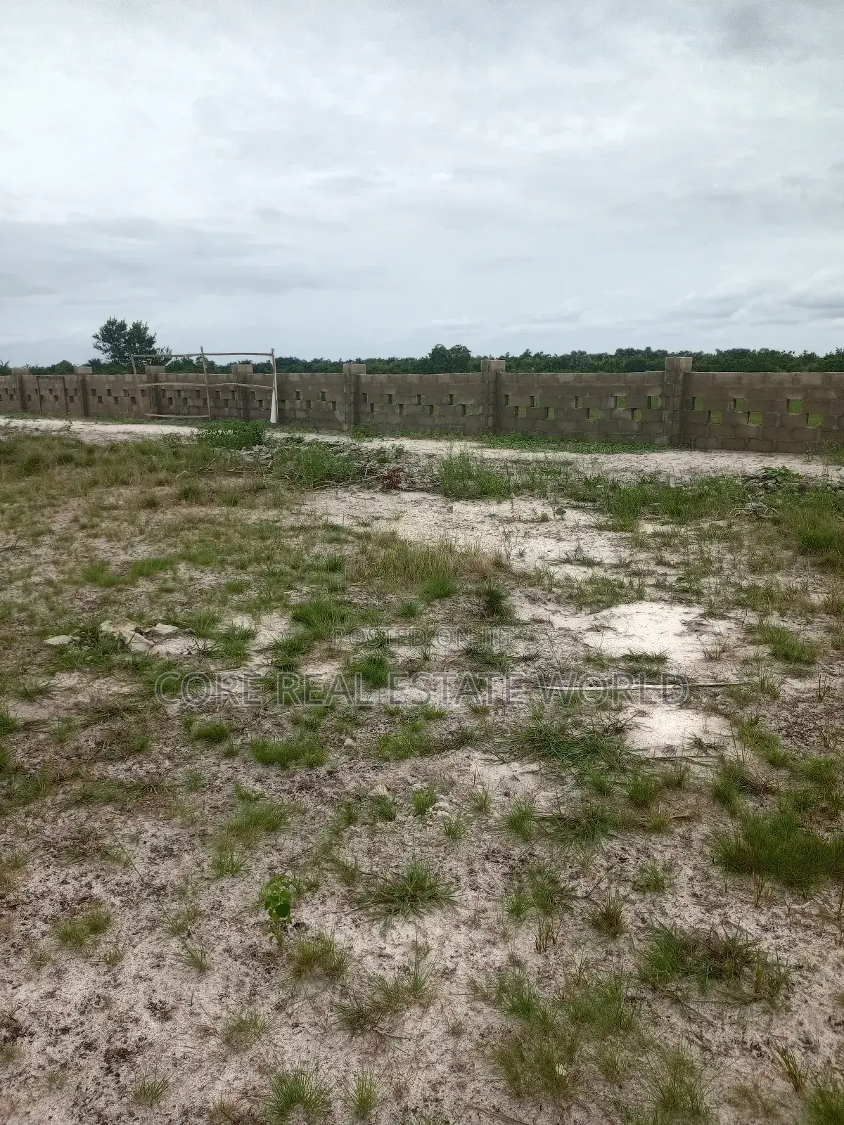 Buy 1 Acre and 1 Plot Free Iladi Ibefun Ogun State