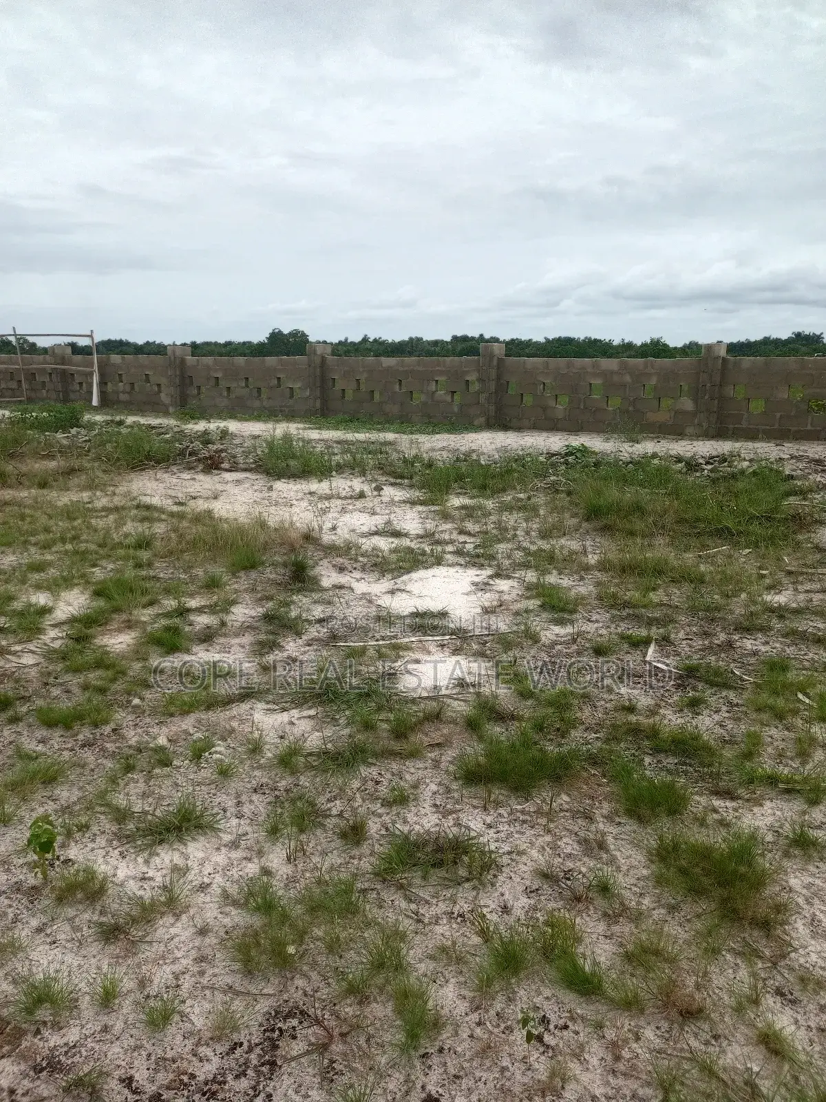 Buy 1 Acre and 1 Plot Free Iladi Ibefun Ogun State