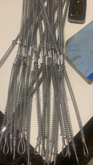 Safety Whip Check for Hoses