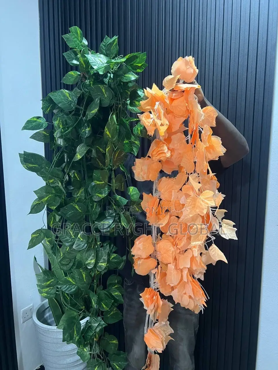 Vine Leaves Creeping Flower