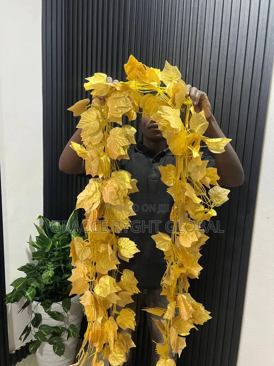 Vine Leaves Creeping Flower