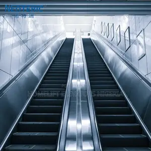 Indoor Stable Escalator