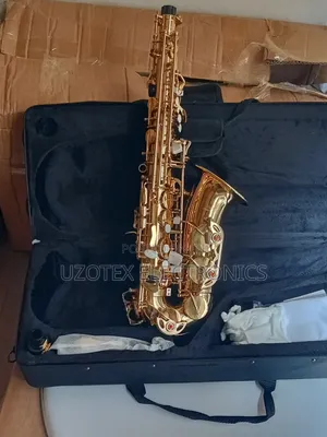 Alto Saxophone Gold With Accessories