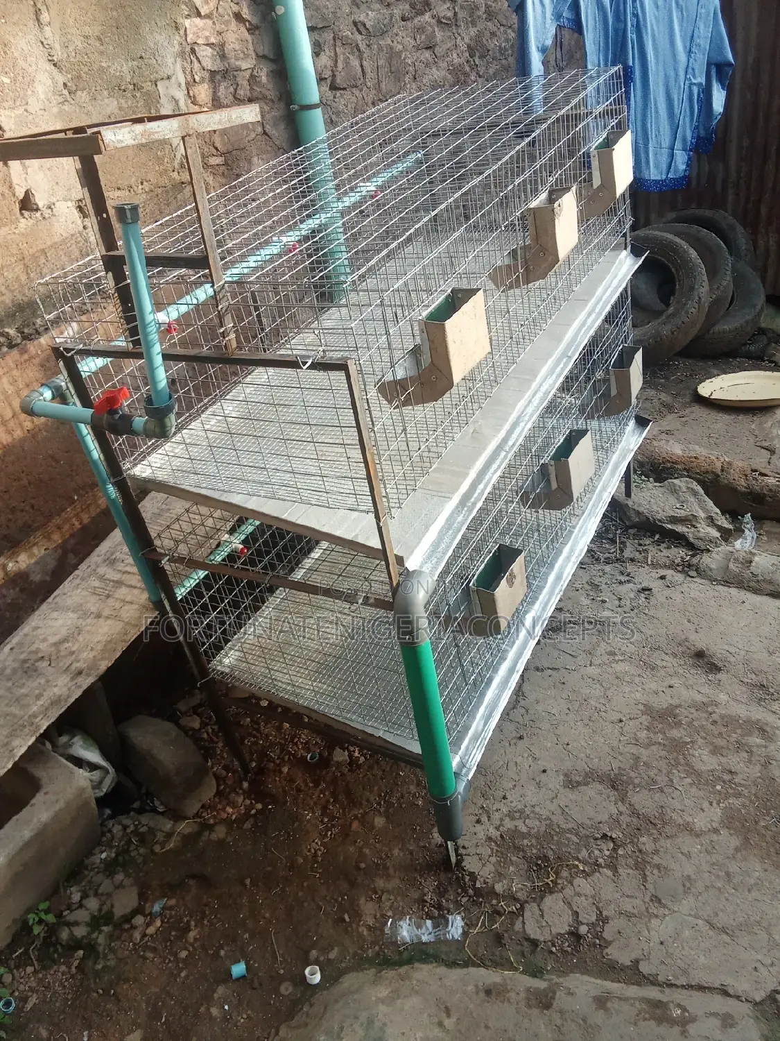 Newly Built Rabbit Cages