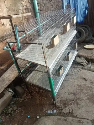 Newly Built Rabbit Cages