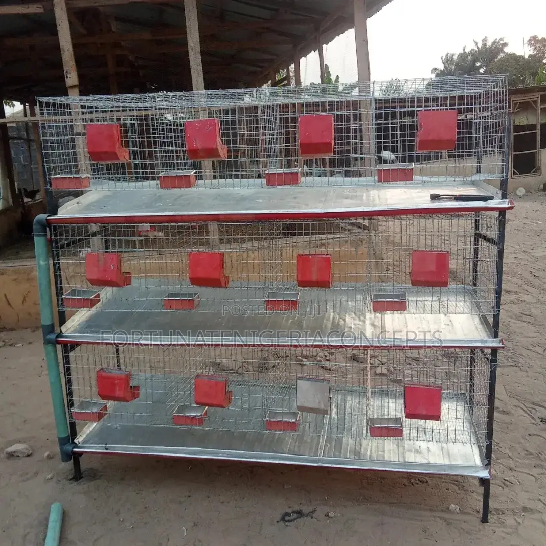 Newly Built Rabbit Cages