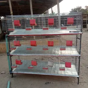Newly Built Rabbit Cages