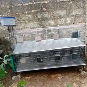 Newly Built Rabbit Cages