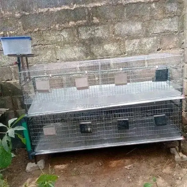 Newly Built Rabbit Cages