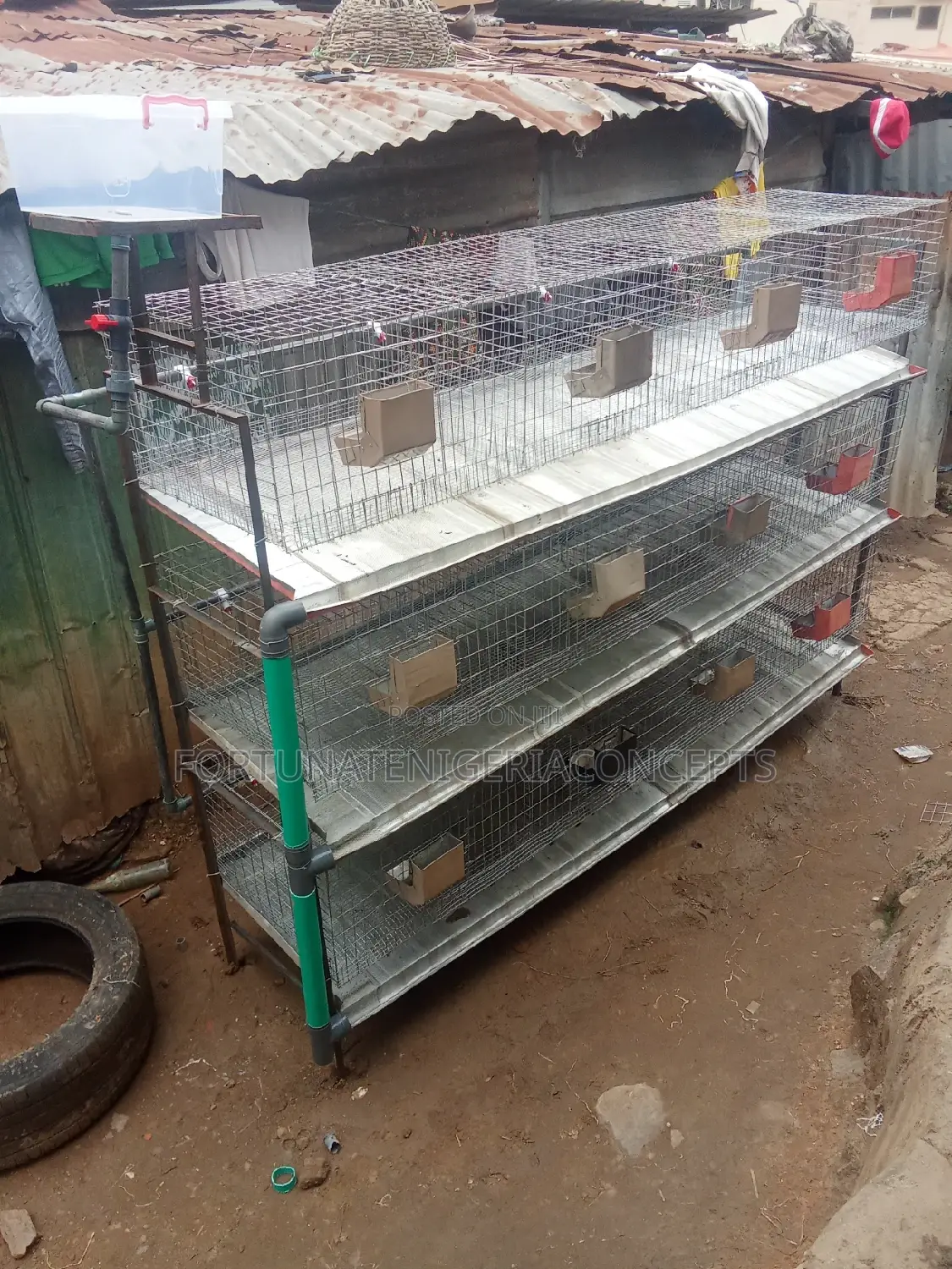 Newly Built Rabbit Cages