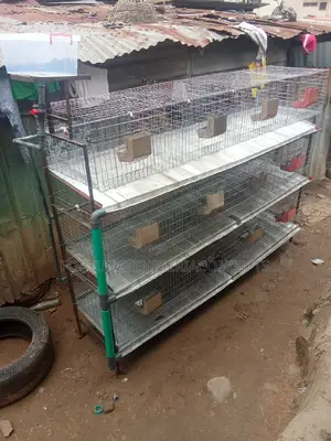 Newly Built Rabbit Cages