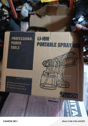 D-Walt Cordless Spray Gun