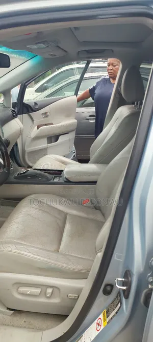 Lexus RX 350 2010 Blue