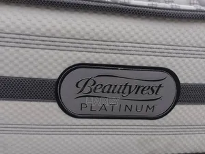 6by6 Canadian Beautyrest 12inches Get 1fiber Pillow Free