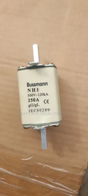 Original Bussman 250 Amps Fuse