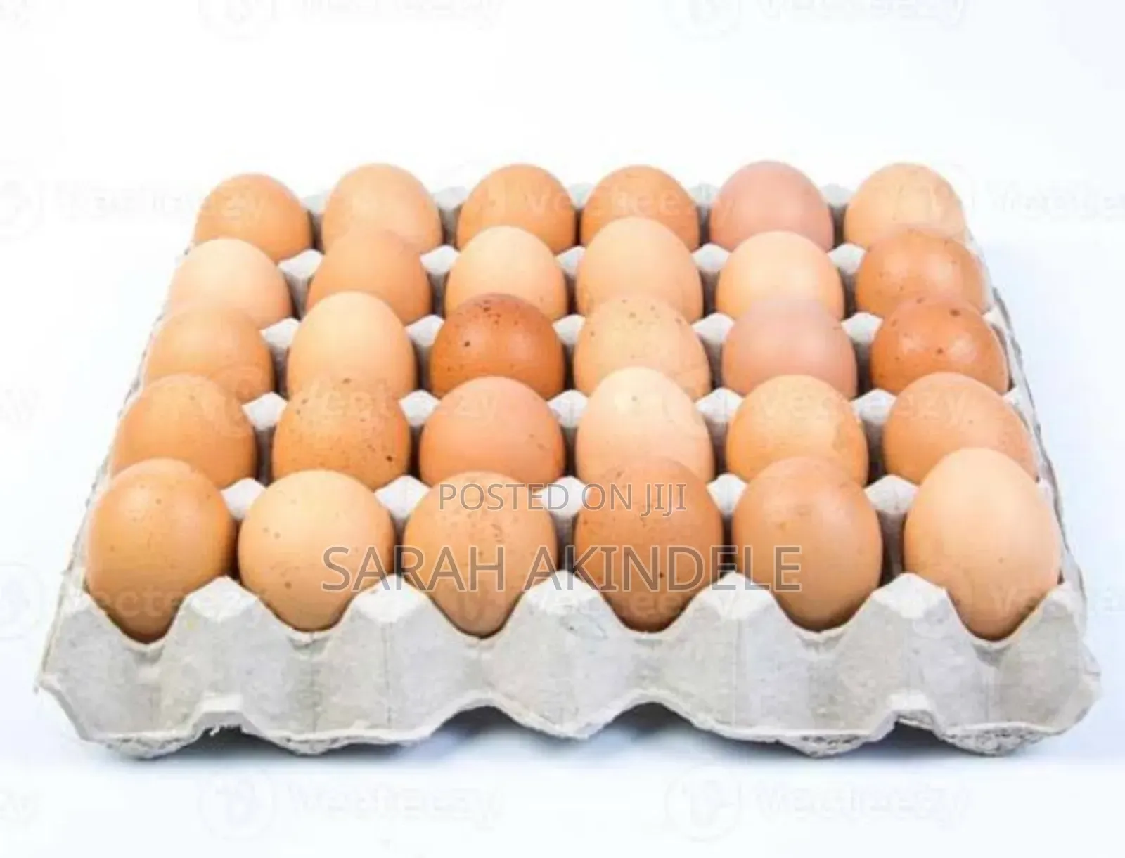 Eggs Poultry