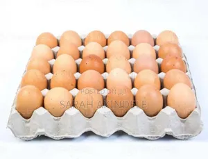 Eggs Poultry