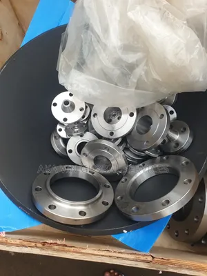 Stainless Steel Flanges