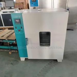 Electric Constant Temperature Blast Drying Oven